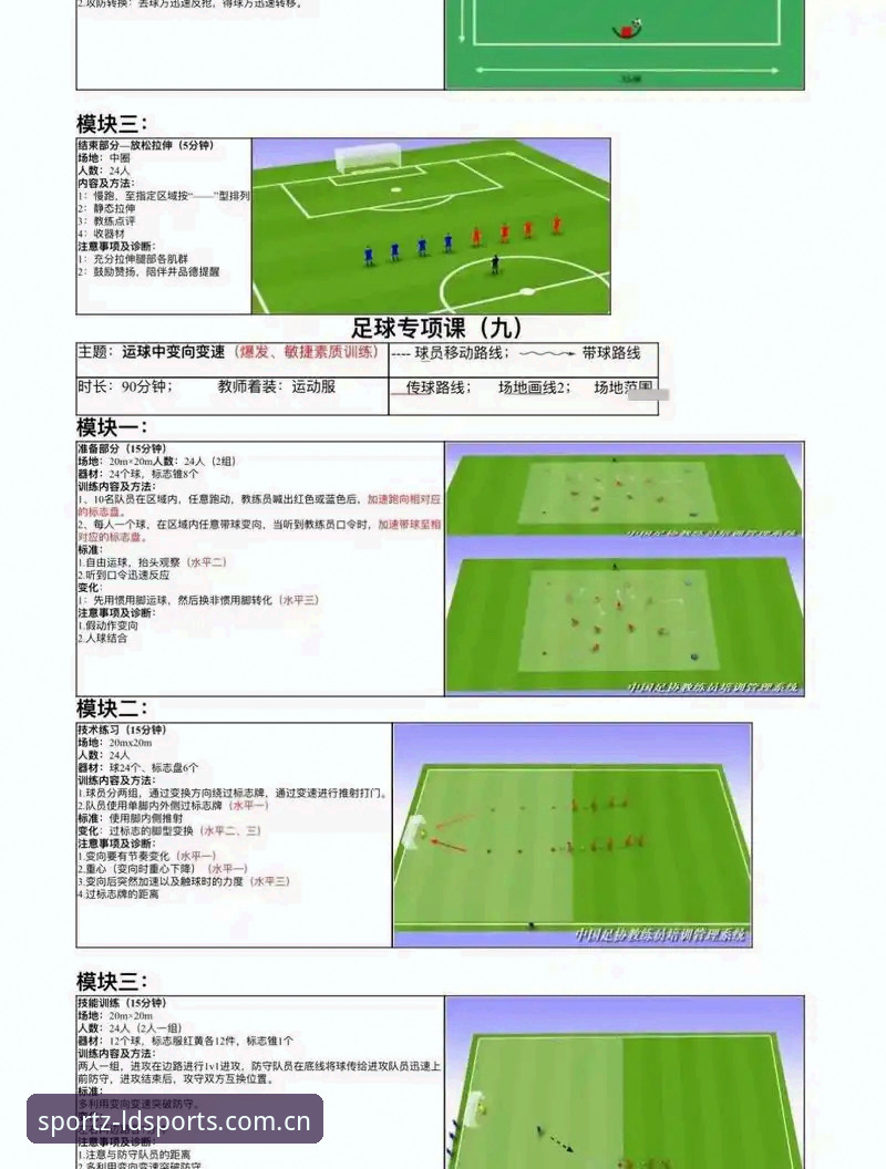 LDSPORTS体育赛事体验升级：7个让数据说话的关键功能解析