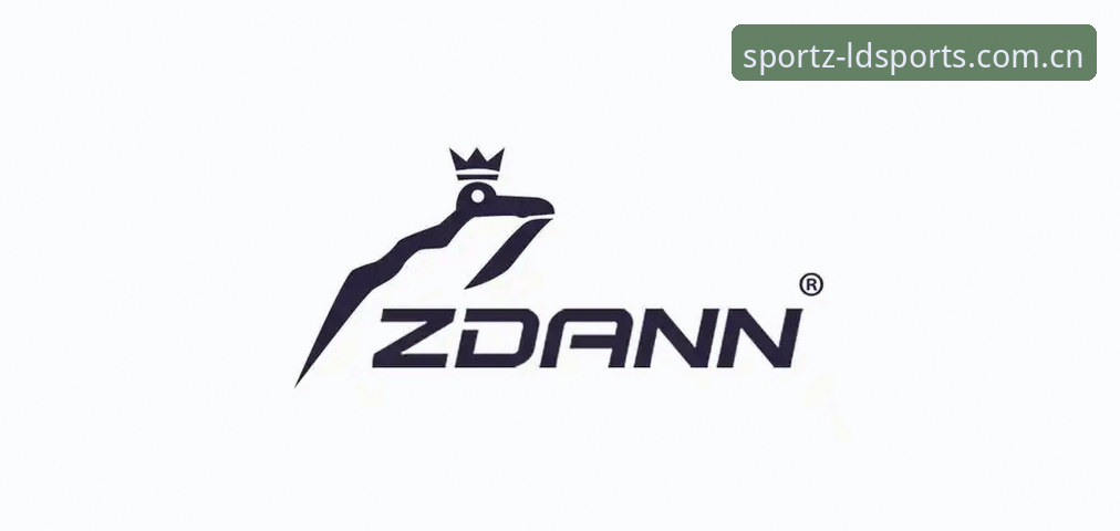 乐动体育APP官方安全性详解——从实战角度评估LDSports平台可靠性